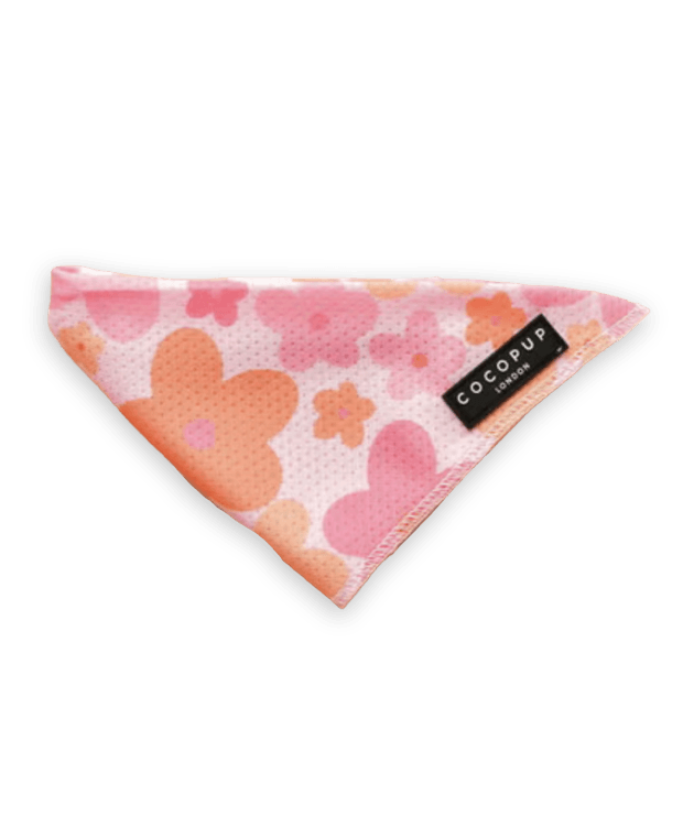 Summer Bloom Bandana