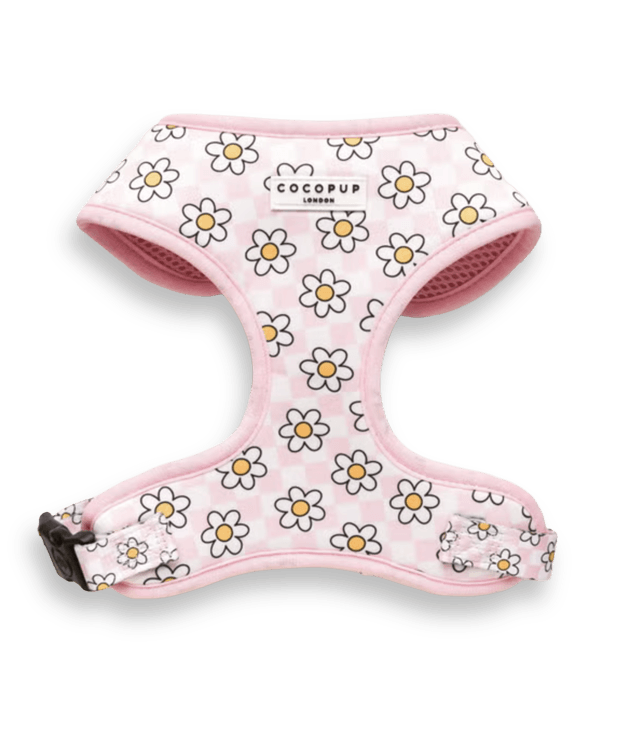 COCOPUP | Daisy Gingham Rave Adjustable Neck Harness Size 